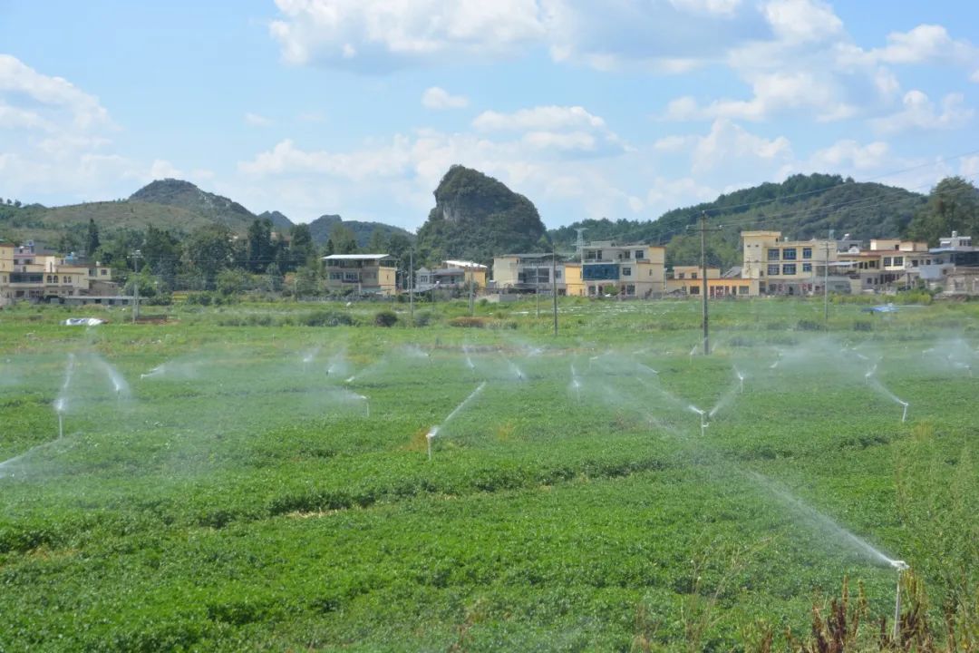 新葡京官网